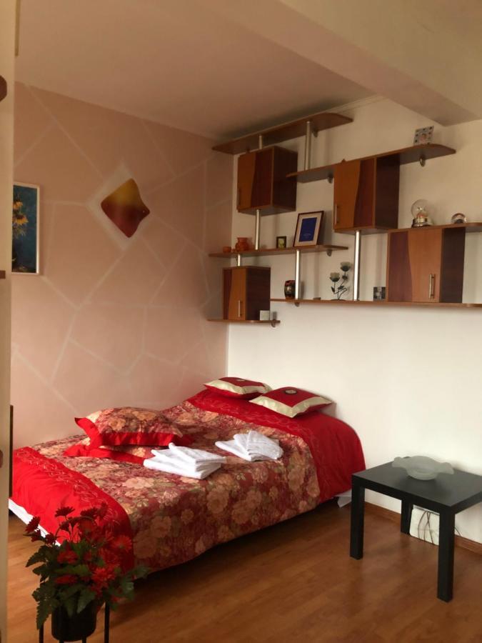 Charming Quiet Studio Coltea Old Town In The Centre Of 布加勒斯特 外观 照片