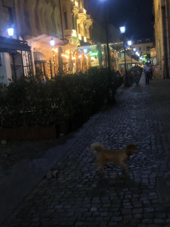 Charming Quiet Studio Coltea Old Town In The Centre Of 布加勒斯特 外观 照片