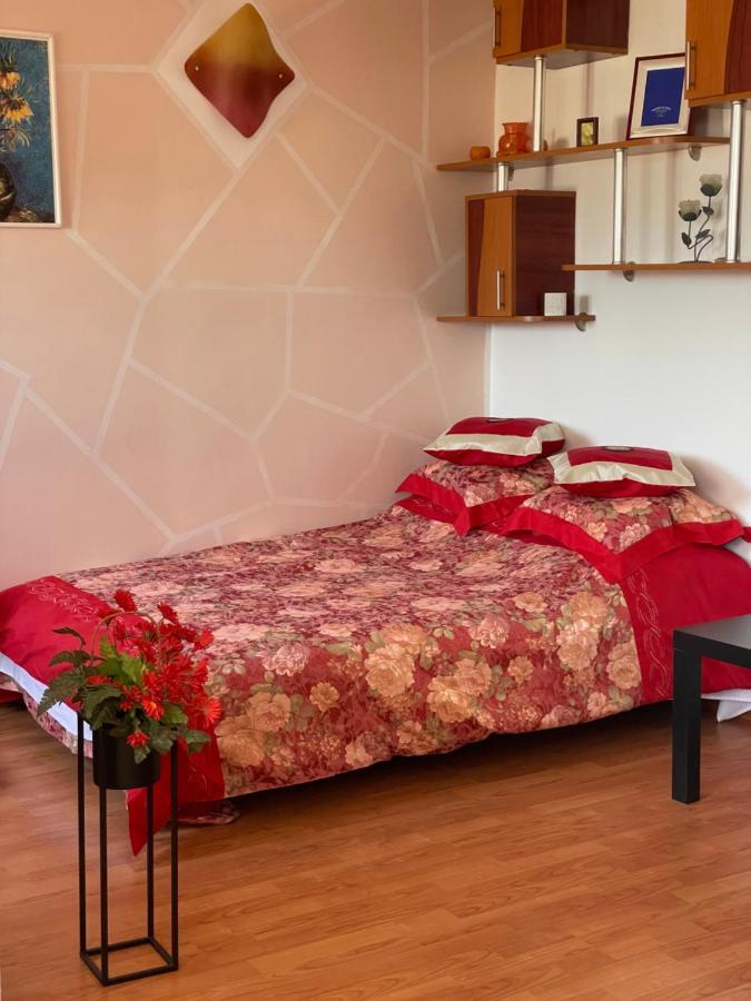 Charming Quiet Studio Coltea Old Town In The Centre Of 布加勒斯特 外观 照片